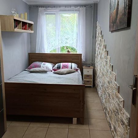 Apartament Przy Parku 科沃布热格 外观 照片