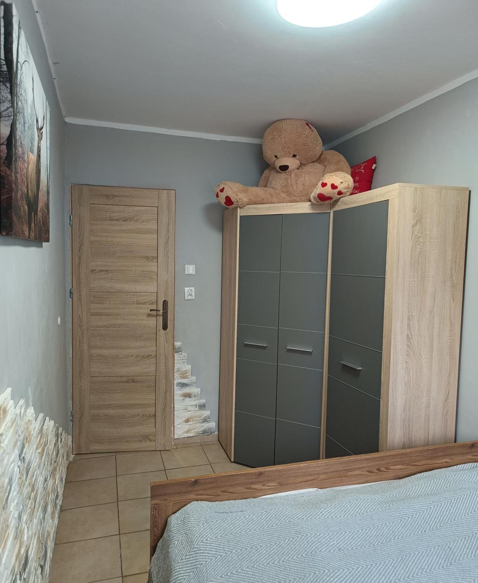 Apartament Przy Parku 科沃布热格 外观 照片